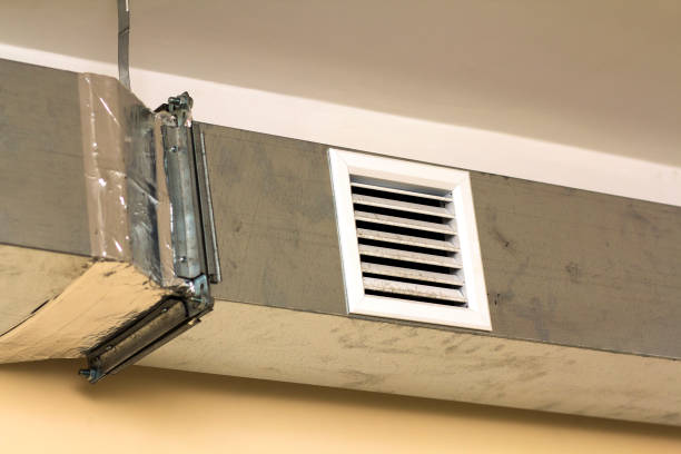Best Professional Duct Cleaning Services  in Lake Winnebago, MO